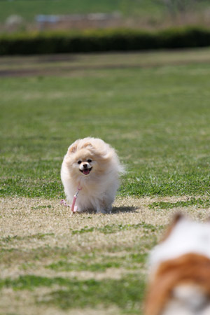 20120414_34.jpg