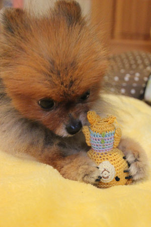20120414_36.jpg