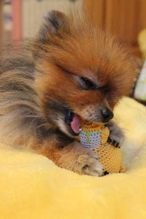 20120414_37.jpg