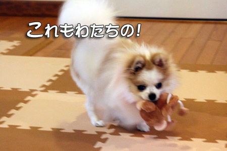 20120414_38.jpg