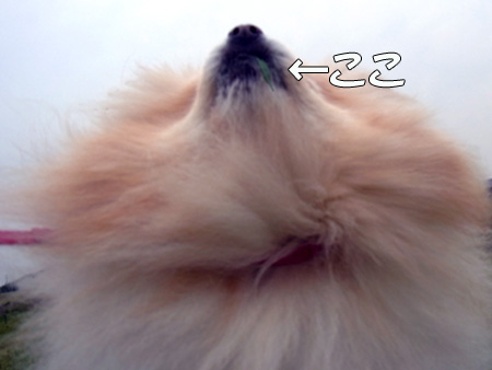 20120414_4.jpg