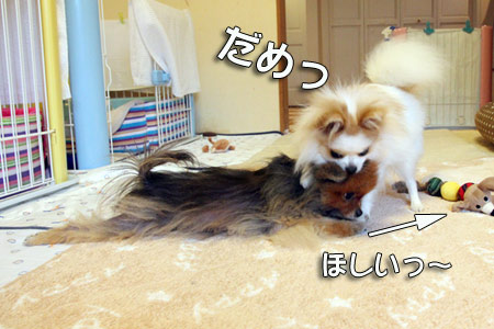 20120414_40.jpg