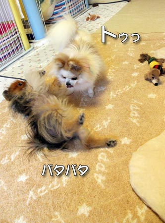 20120414_41.jpg