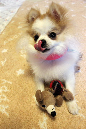 20120414_8.jpg