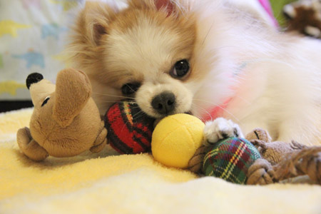 20120414_9.jpg
