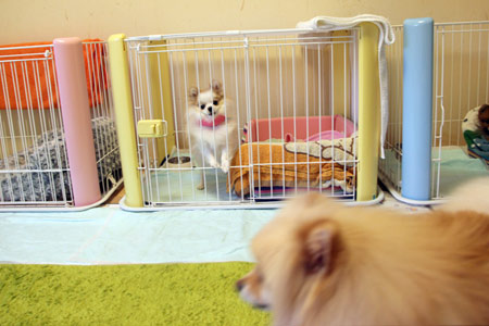 20120419_1.jpg