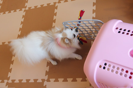 20120419_10.jpg