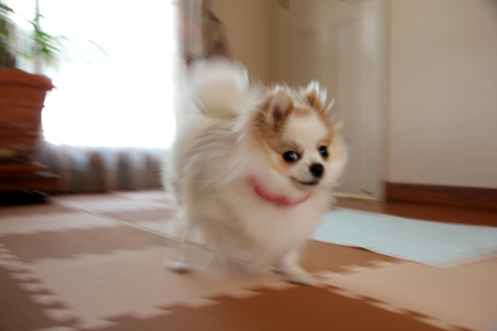 20120419_11.jpg