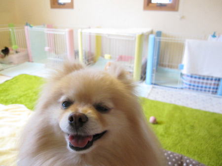 20120419_2.jpg