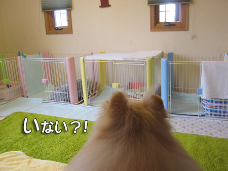 20120419_3.jpg