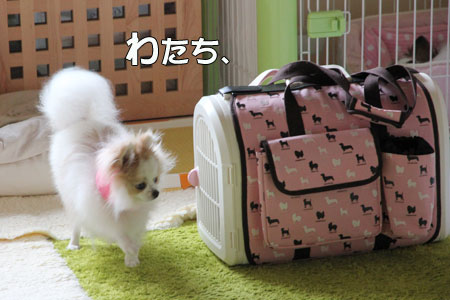 20120419_6.jpg