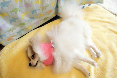 20120419_7.jpg