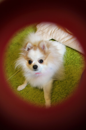 20120419_8.jpg