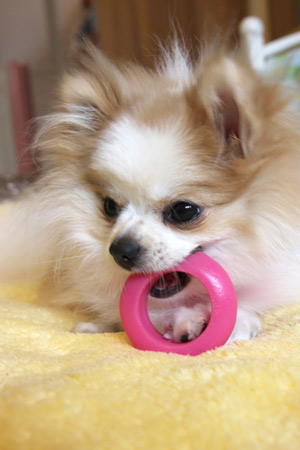 20120419_9.jpg