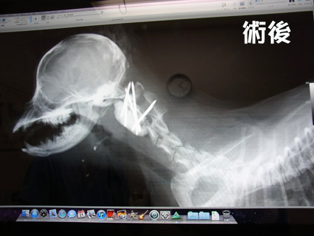20120421_1.jpg