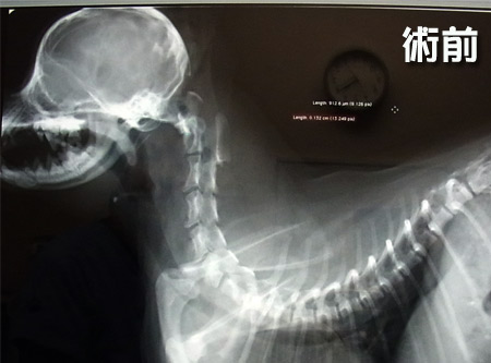 20120421_2.jpg