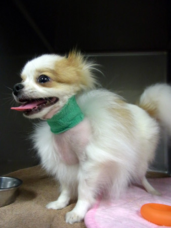 20120427_1.jpg