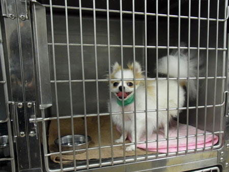 20120427_2.jpg