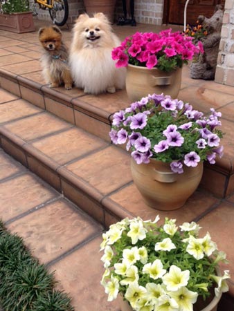 20120428_1.jpg