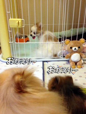 20120503_1.jpg