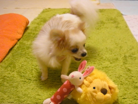 20120503_10.jpg