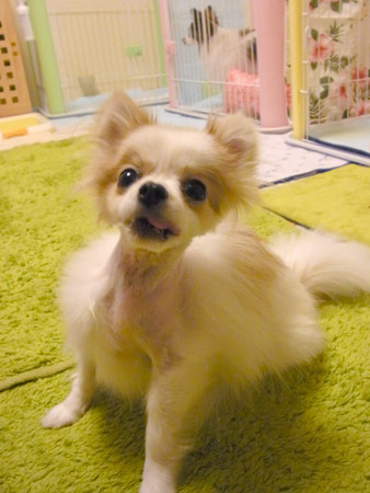 20120503_12.jpg