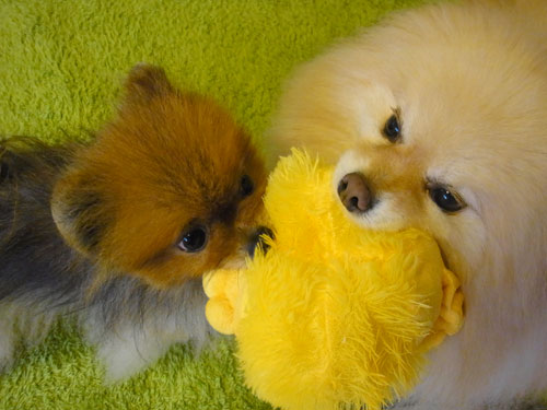 20120503_13.jpg
