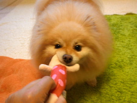 20120503_15.jpg