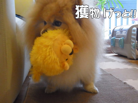 20120503_16.jpg