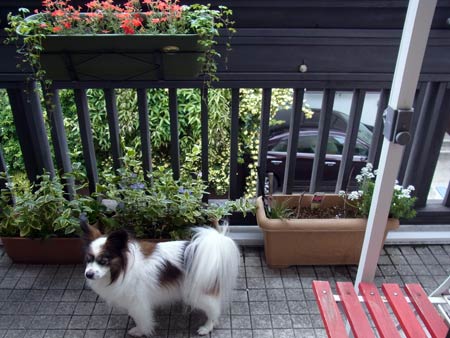 20120503_17.jpg