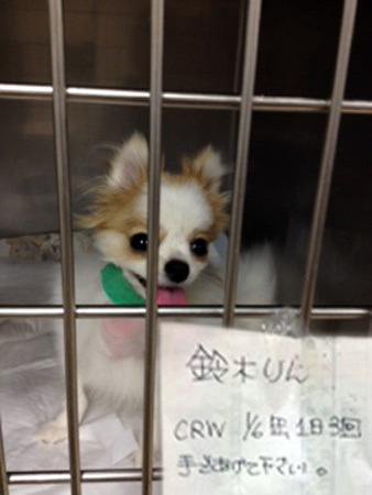 20120503_2.jpg