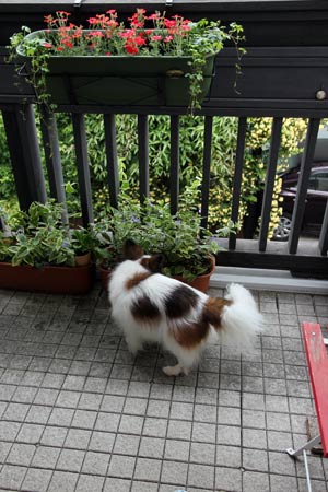 20120503_20.jpg