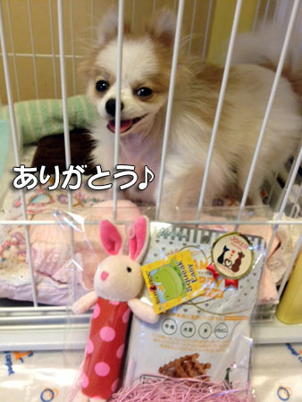 20120503_5.jpg