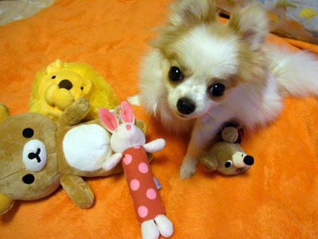 20120503_9.jpg