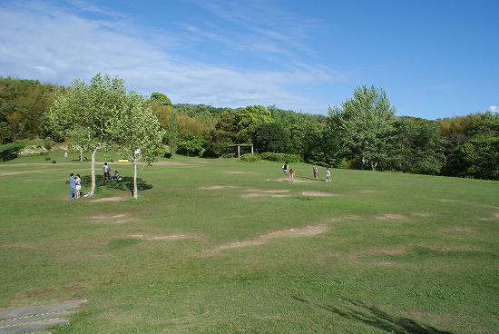 DSC00037.jpg