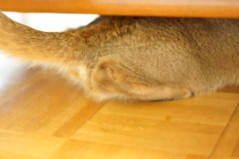 DSC05661.jpg