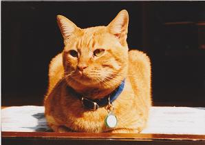 IMG_0001a.jpg