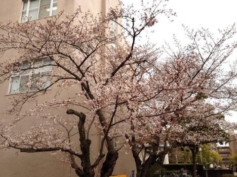 写真 12-04-03 12 21 47
