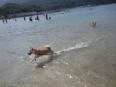CA3A0231_convert_20110914164037.jpg