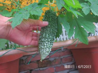 s-IMG_4799.jpg