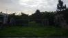 IMGP3310.jpg