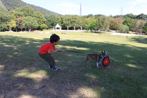 139_20111005202221.jpg