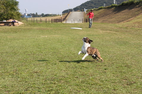 189_20111010223216.jpg