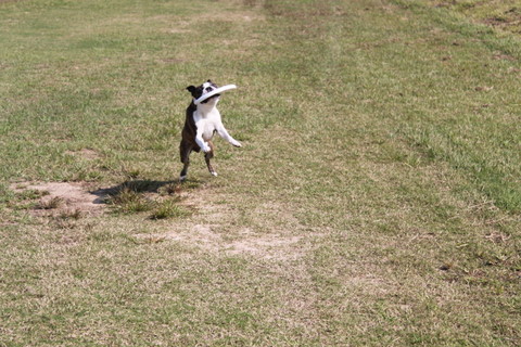 207_20111010223216.jpg