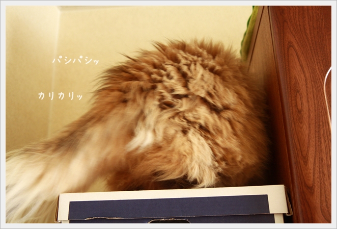 6_20120324021041.jpg