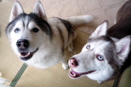 130402_01.jpg