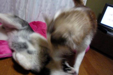 130407_04.jpg