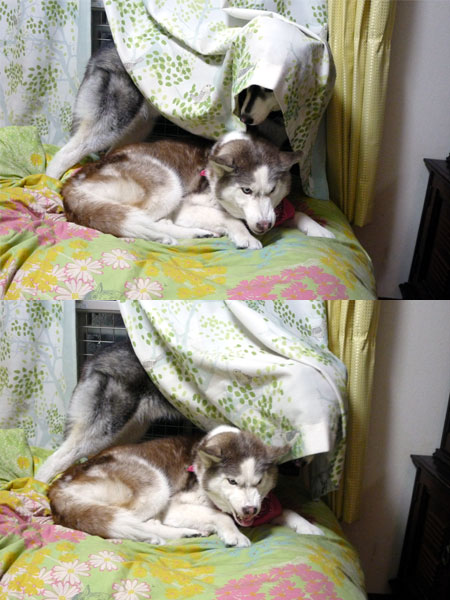 130418_03.jpg