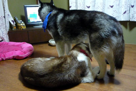 130426_01.jpg
