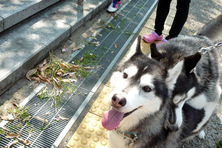 130506_02.jpg